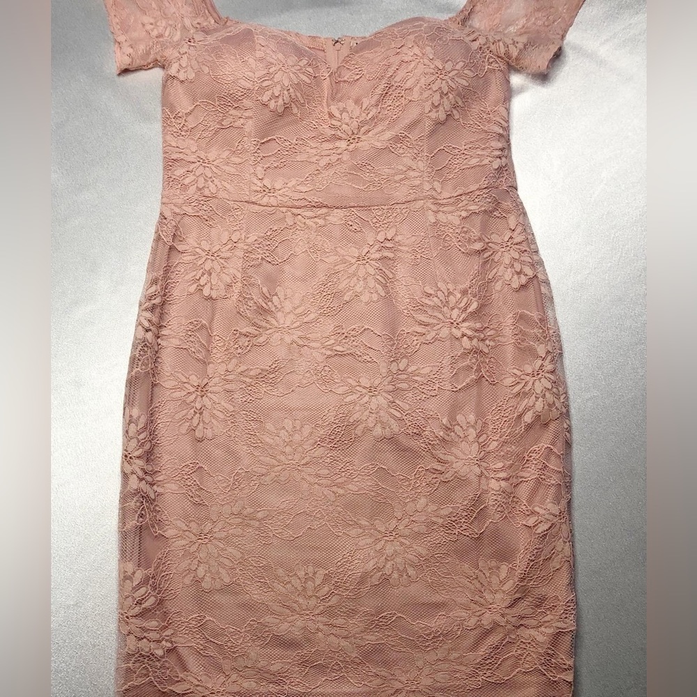 Blush lace dress with pink lining